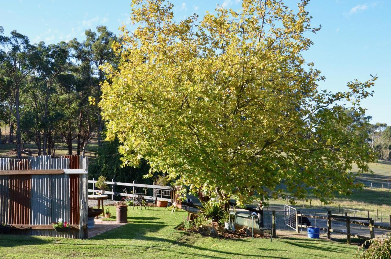 Hotel The Stables Wandin North Zewnętrze zdjęcie